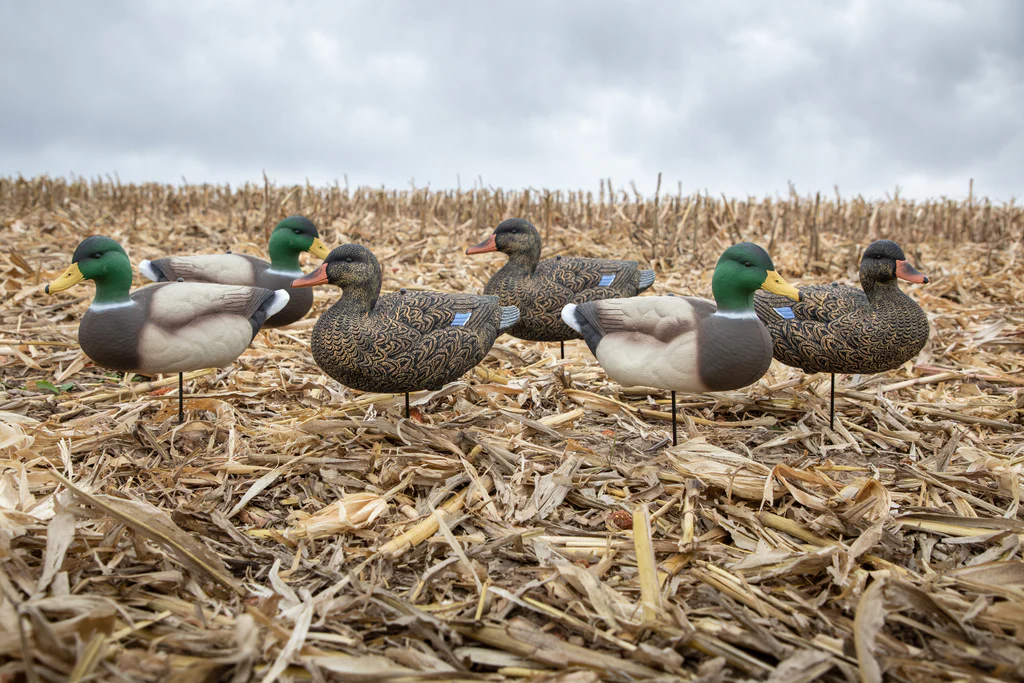 0A6A9072_Web_1024x1024